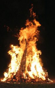 dig_sm_2004_165952-Feuerholz8