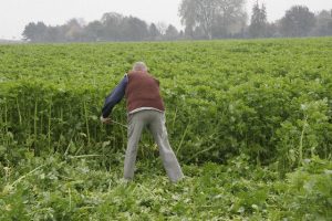 dig_sm_2009_100612-P_10-06-44_0001