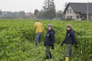 dig_sm_2009_100614-P_10-07-00_0003