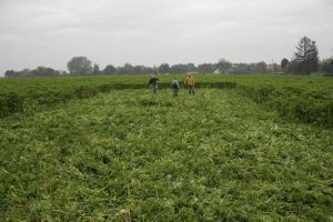 dig_sm_2009_100616-P_10-14-51_0011