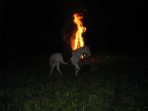 dig_sm_2009_101340-IMG_0088