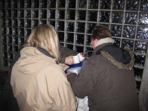 dig_sm_2009_181504-IMG_0449