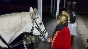 dig_sm_2016_8735801754